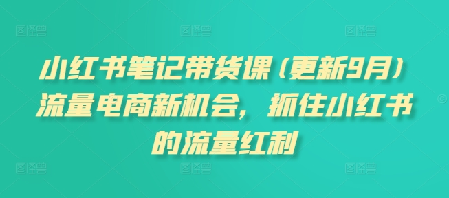 小红书笔记带货课(更新25年4月)流量电商新机会，抓住小红书的流量红利-心语资源网